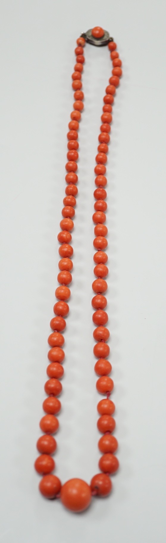 A single strand graduated coral bead necklace, 56cm, gross weight 42 grams.